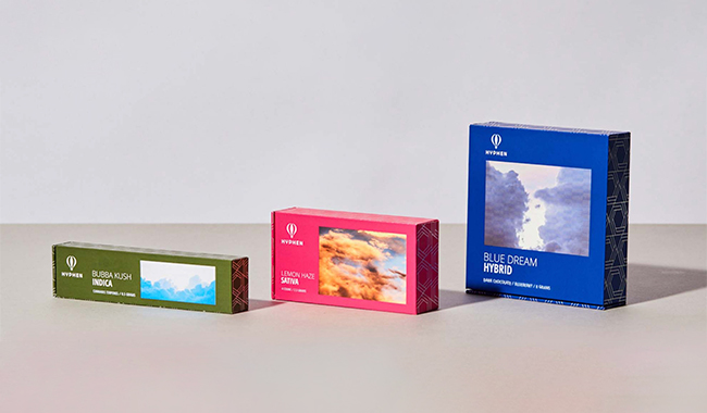 Product mockup of three Zenpack cannabis packaging boxes in various strains